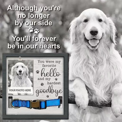 Dog Memorial Picture Frame - Dog Collar Memorial Frame Gift - Cat or Dog Pet Loss Gift for a Grieving Friend - Pet Remembrance Gift and Sympathy Photo Keepsake