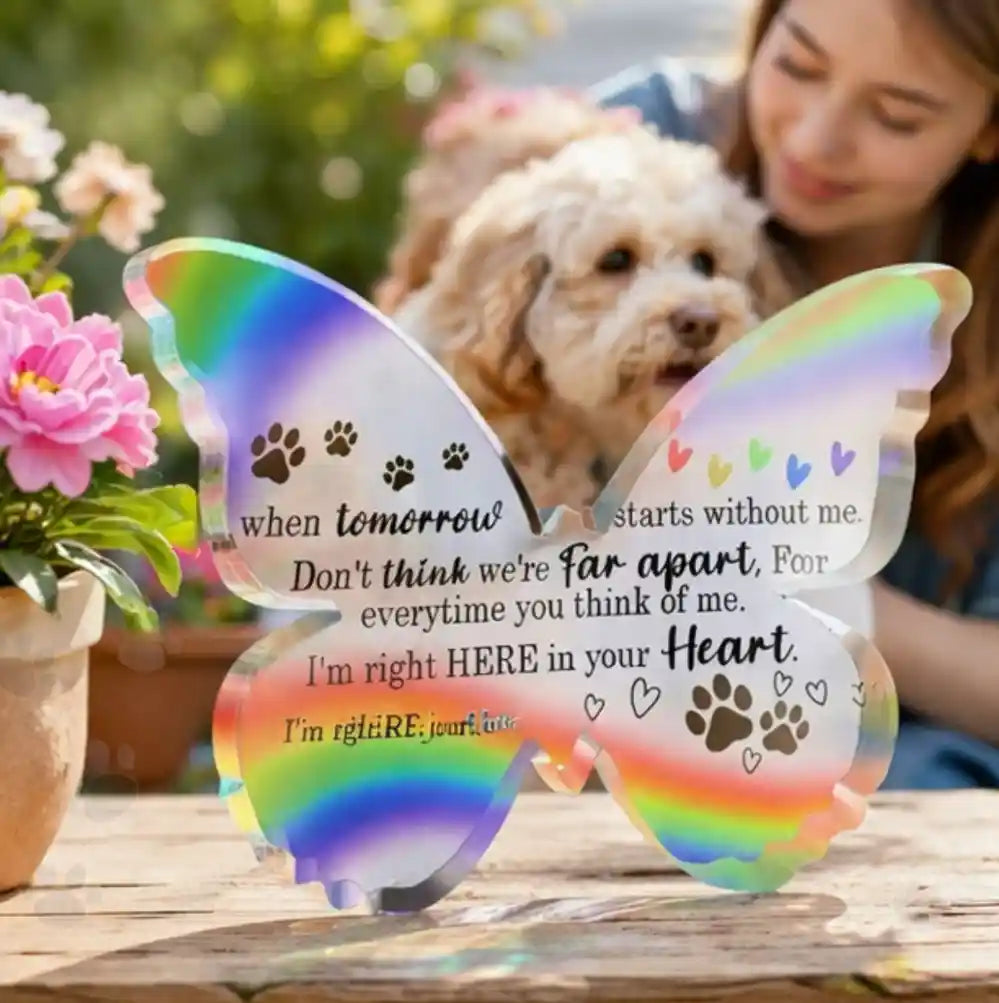 Butterfly-shaped acrylic pet memorial plaque in rainbow colors, displayed outdoors with dog and owner, sympathy gift for pet loss remembrance
