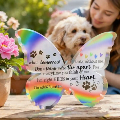 Butterfly-shaped acrylic pet memorial plaque in rainbow colors, displayed outdoors with dog and owner, sympathy gift for pet loss remembrance