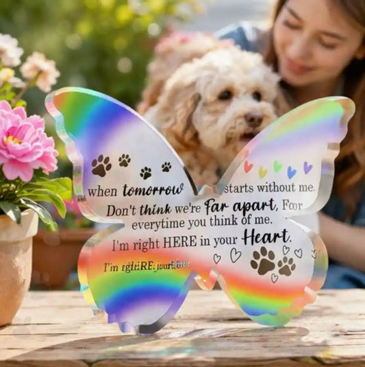 Butterfly-shaped acrylic pet memorial plaque in rainbow colors, displayed outdoors with dog and owner, sympathy gift for pet loss remembrance