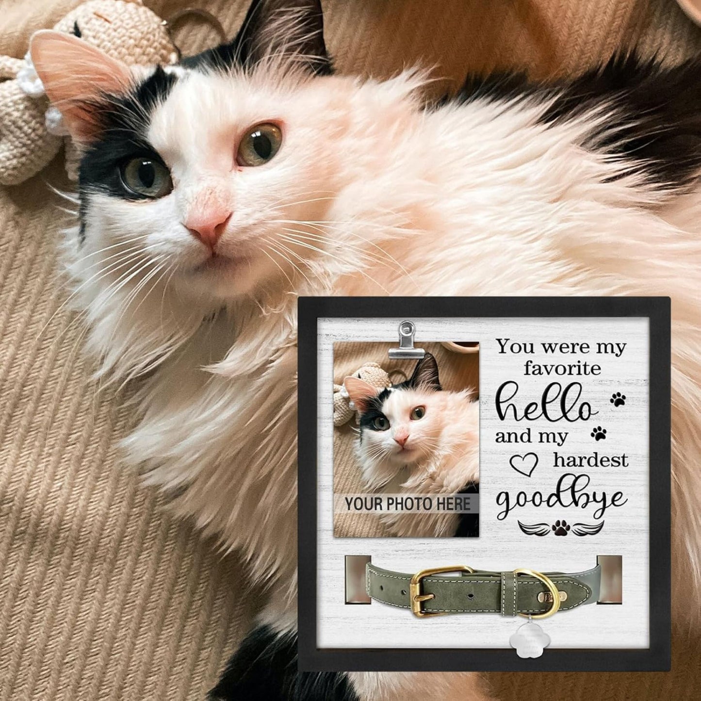 Cat or Dog Memorial Picture Frame with collar holder and clipped photo, versatile memorial picture frame for cherished pet portrait display