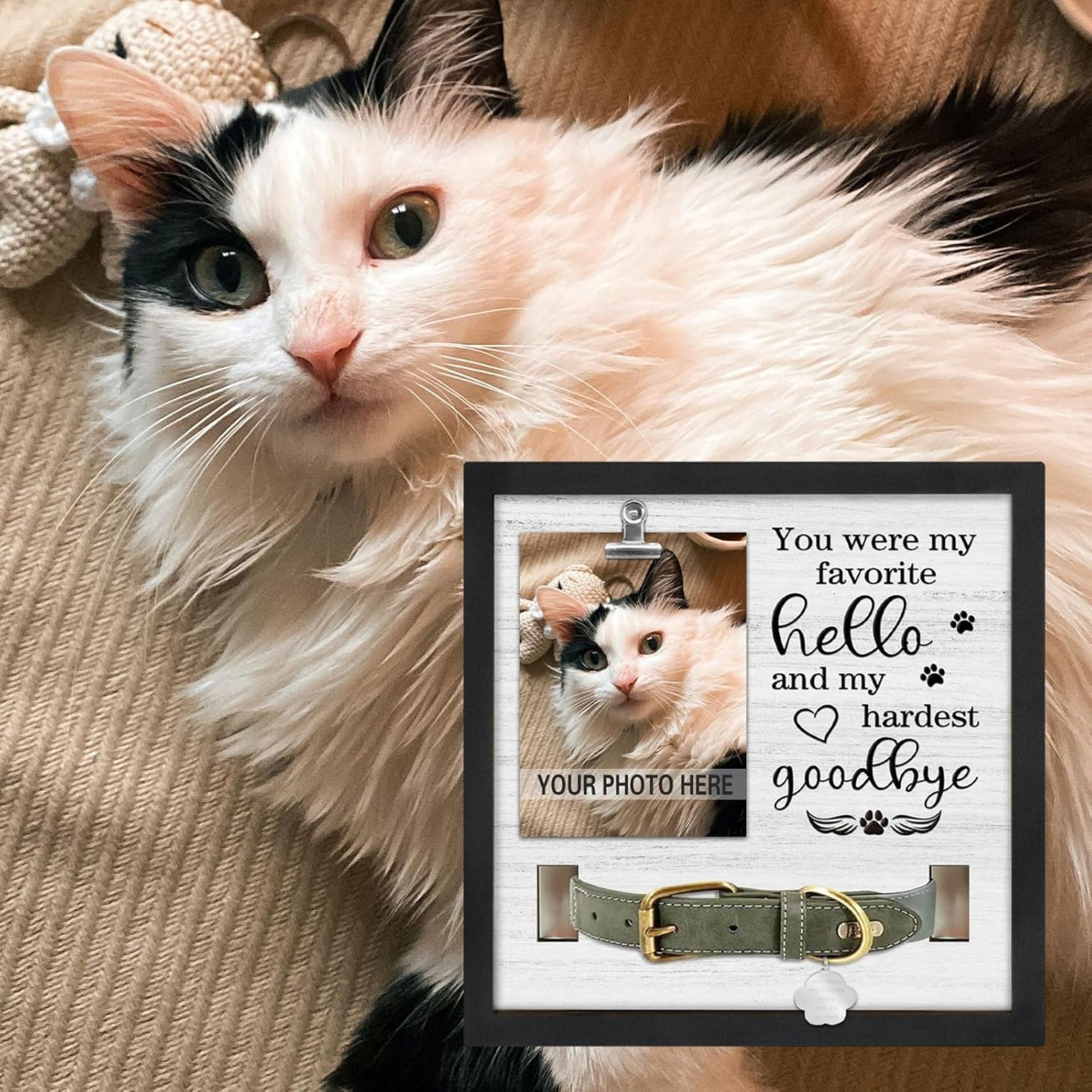 Cat or Dog Memorial Picture Frame with collar holder and clipped photo, versatile memorial picture frame for cherished pet portrait display