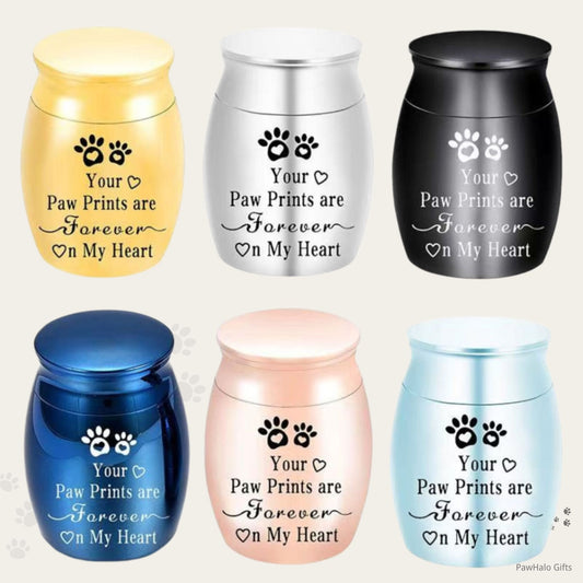 Paw Prints “Forever On My Heart” mini pet keepsake urn shown in multiple colors (gold, silver, black, blue, rose gold, light blue)