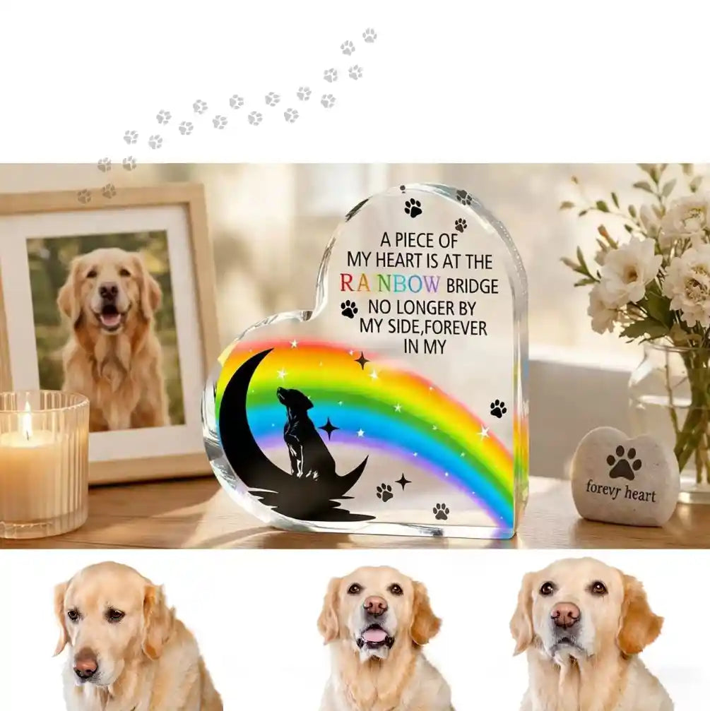Heart-shaped acrylic pet memorial plaque displayed with framed dog photo, candle, and flowers, rainbow bridge remembrance gift for pet loss