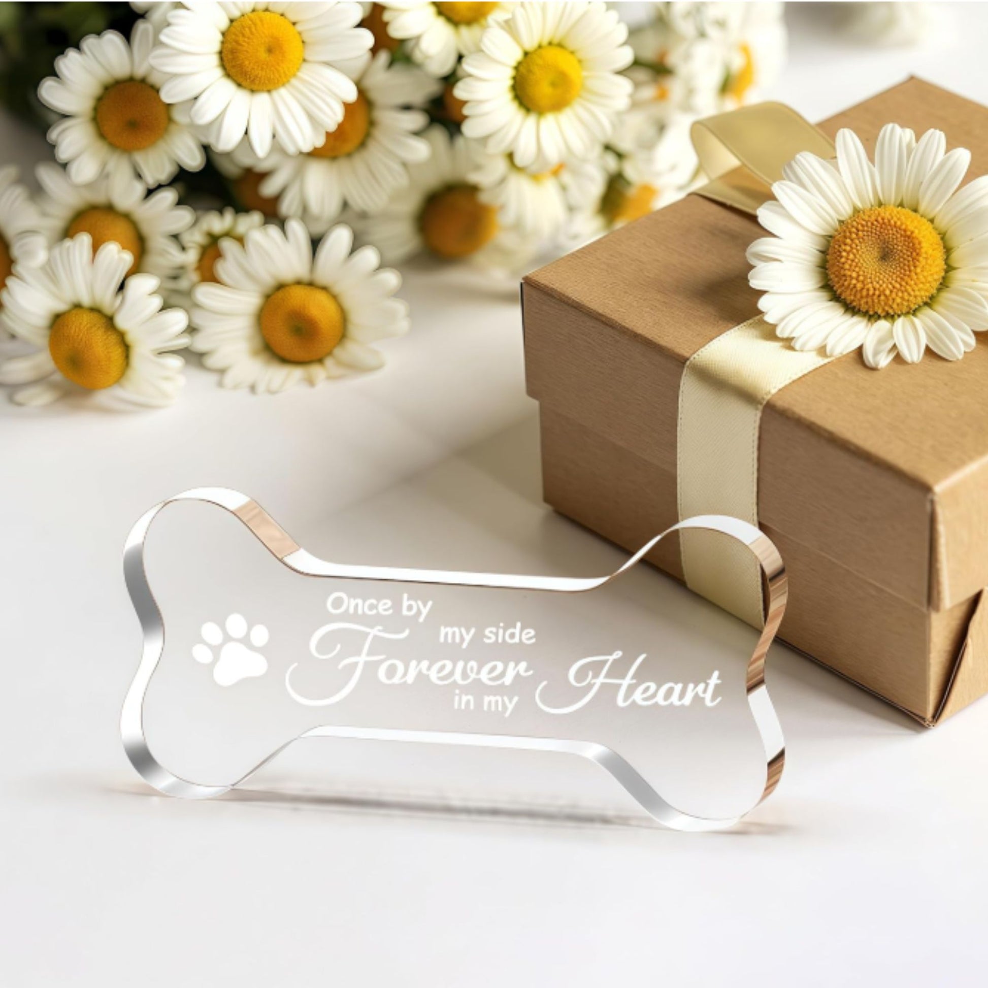 ic Paw & Bone Design for Dog Lovers