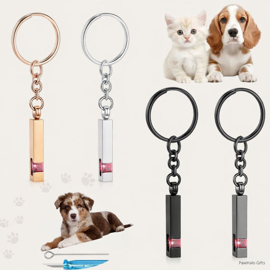 Pet memorial Urn keychain featuring a paw print design, available in black, silver, and rose gold colors. Comes with small tools (funnel, needle) for easy use, ideal for holding small keepsakes like pet fur or ashes.