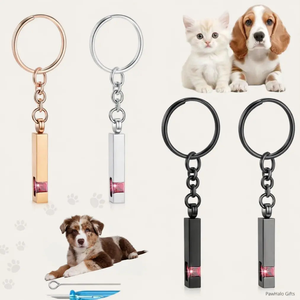 Pet memorial Urn keychain featuring a paw print design, available in black, silver, and rose gold colors. Comes with small tools (funnel, needle) for easy use, ideal for holding small keepsakes like pet fur or ashes.