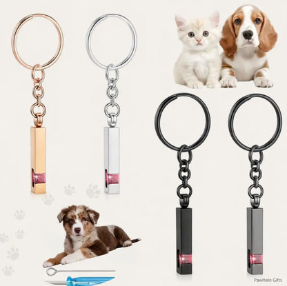 Pet memorial Urn keychain featuring a paw print design, available in black, silver, and rose gold colors. Comes with small tools (funnel, needle) for easy use, ideal for holding small keepsakes like pet fur or ashes.