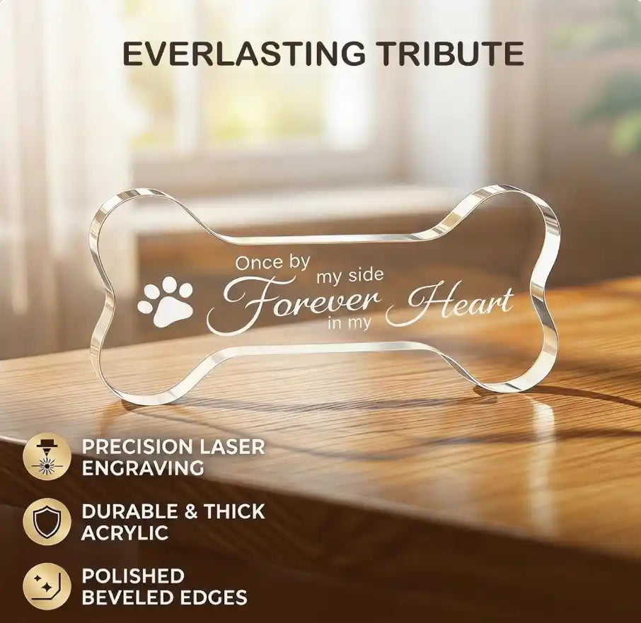 Dog bone acrylic plaque features including precision engraving and polished edges.

