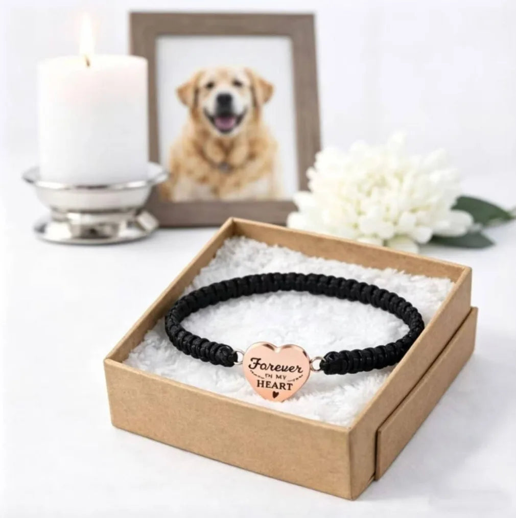Silver angel pendant necklace with black cord bracelet for pet 