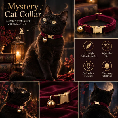 Black cat wearing a burgundy velvet collar with bell, alongside collar and buckle close-ups
