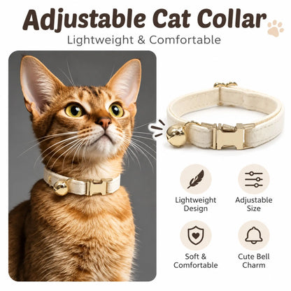 Cat wearing a cream velvet collar with gold-tone buckle and bell beside a matching collar close-up