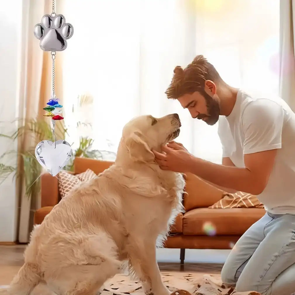 A pet owner and dog near a window featuring a dog remembrance suncatcher.