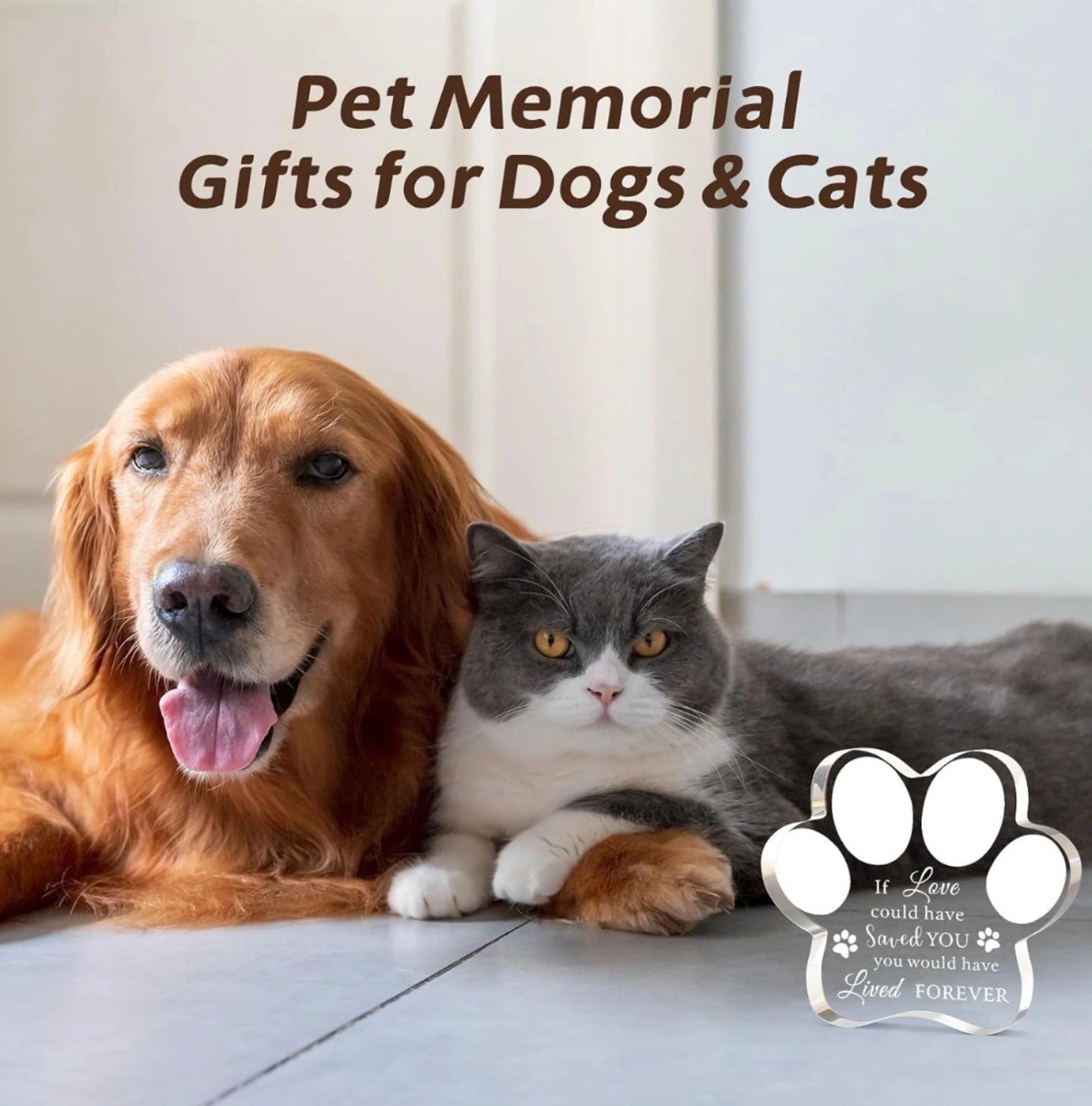 Golden retriever and grey cat beside a freestanding paw-print acrylic pet memorial plaque.