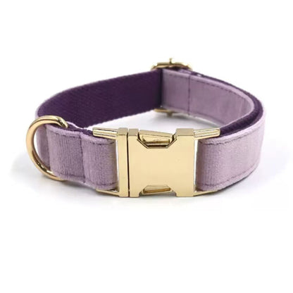 Personalized Velvet Dog Collar with Engraved Name & Phone Number