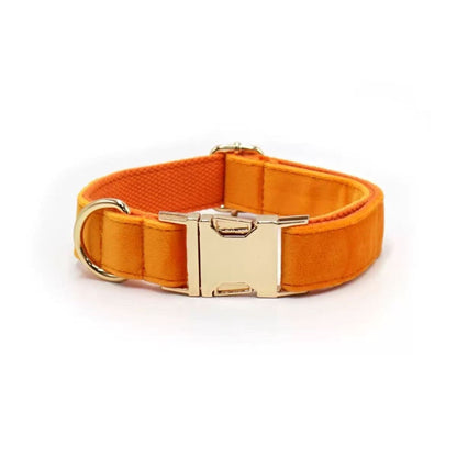 Personalized Velvet Dog Collar with Engraved Name & Phone Number