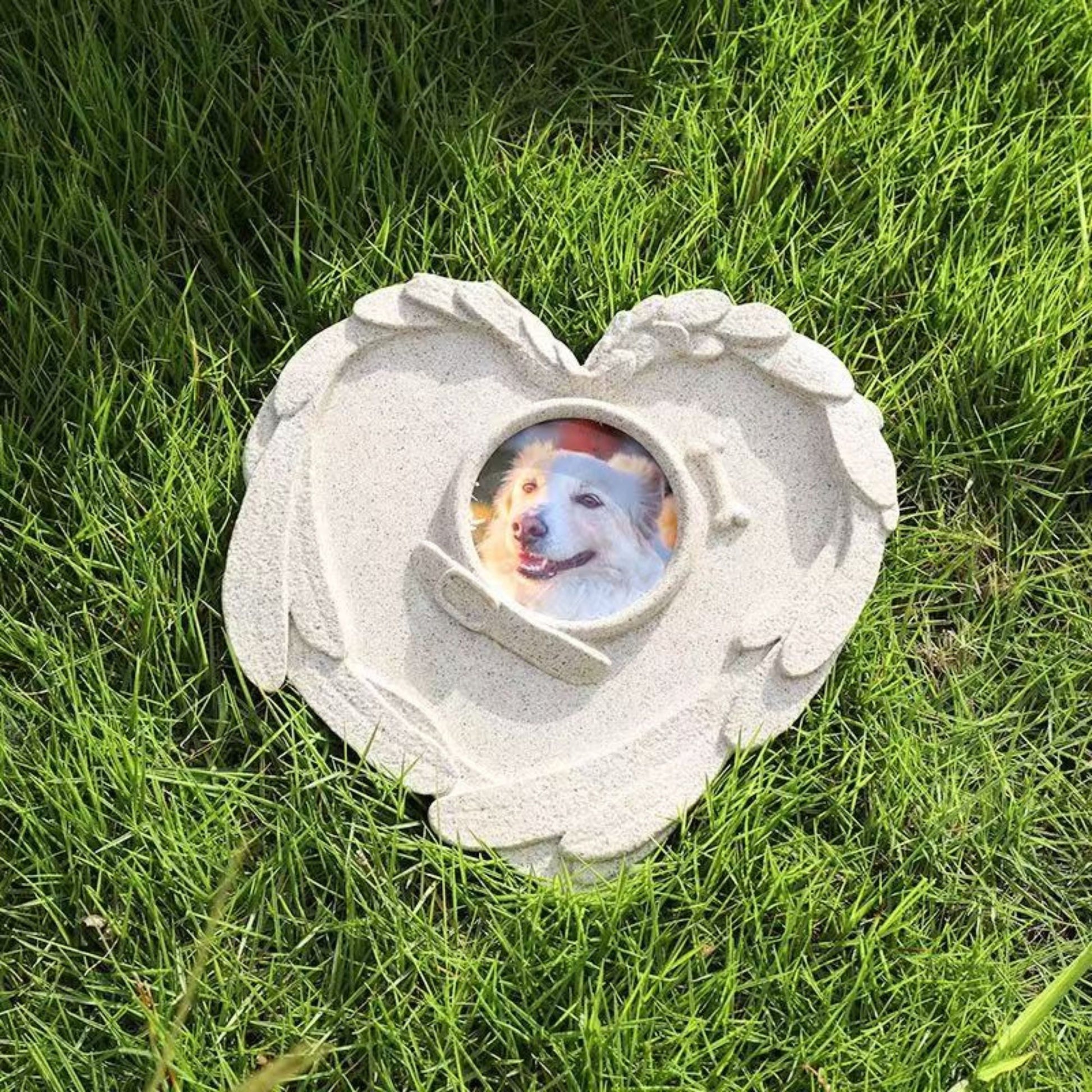 PawHalo pet remembrance stone nestled in green garden grass under dappled sunlight, surrounded by small white daisy flowers.