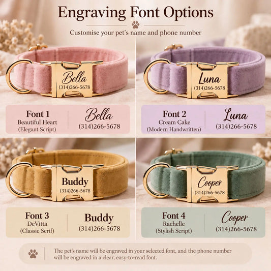 Four personalized dog collar engraving font options with pet names and phone numbers