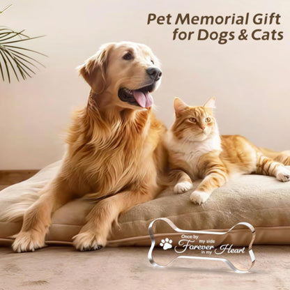  Acrylic Paw & Bone Design for Dog Lovers