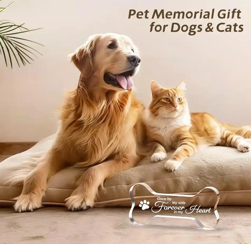 Acrylic Paw & Bone Design for Dog Lovers