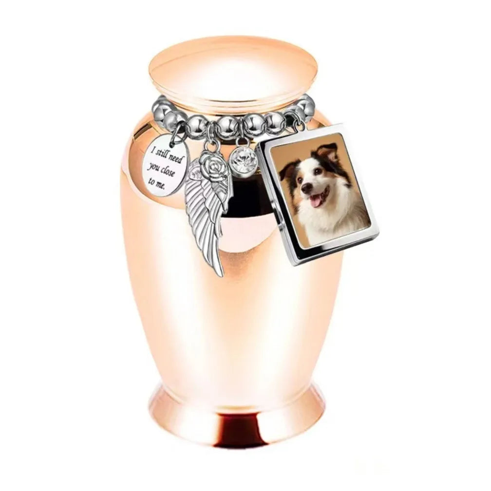 Isolated front view of the light blue personalized pet urn decorated with an emotional poetry medallion and photo frame.
