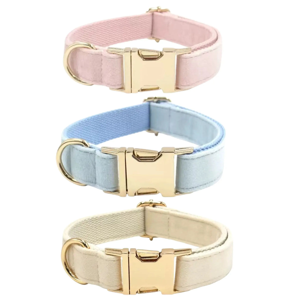 Pink, lavender, and mustard yellow velvet dog collars with gold-tone buckles